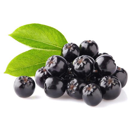 Aronia