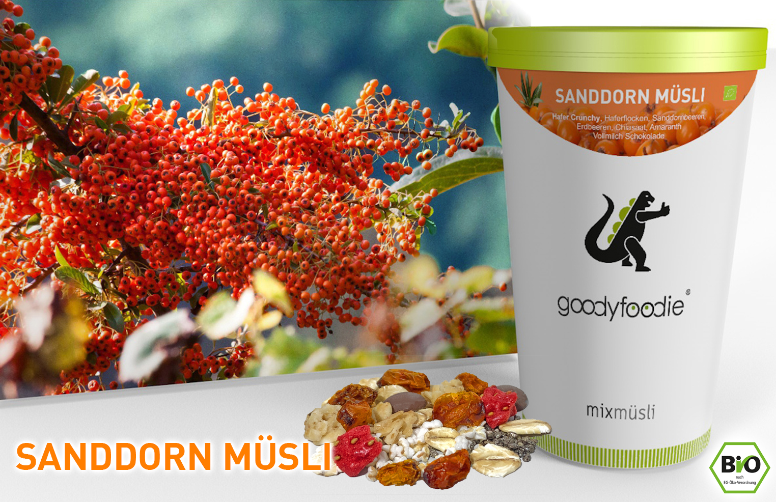 Sanddorn Müsli - Müsli Mischung