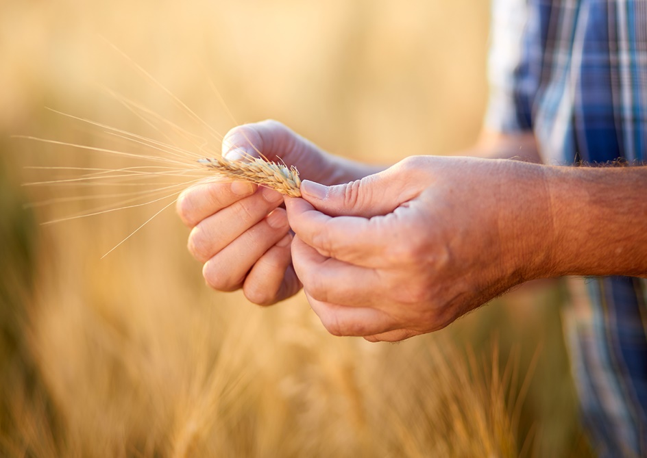 Die Bio-Qualität unserer Müsli-Zutaten aus kontrolliert ökologischem Landbau - regional, kontrolliert und nachhaltig